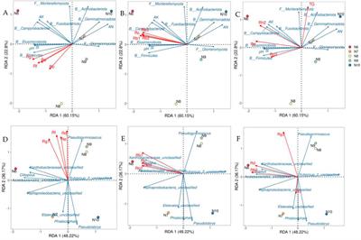 Effects of soil properties and microbial community composition on ginsenosides accumulation in farmland ginseng